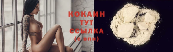 молекула духа Магас