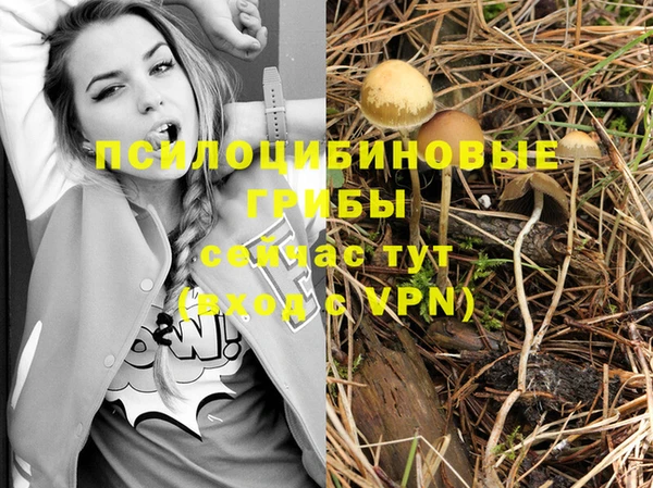дурь Майский