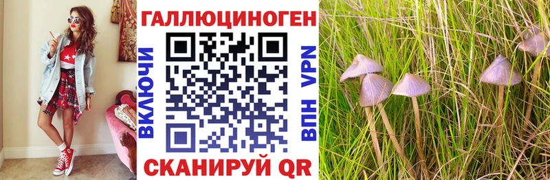 Галлюциногенные грибы Cubensis  Купить где  Южноуральск 